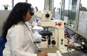 Female scientist in a laboratory looking at a microscope